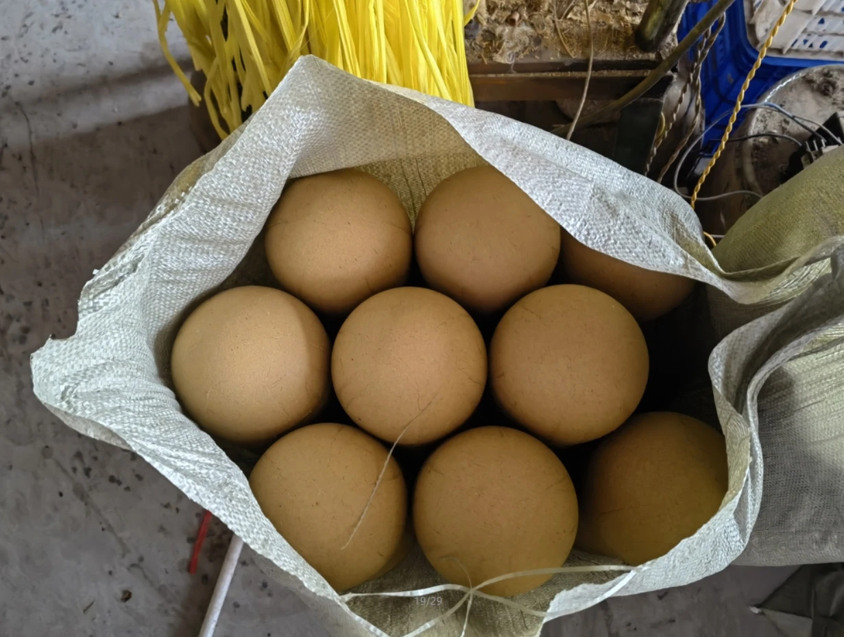 Premium Firework Shell Manufacturers 3 Inch 1 3G 1 4G Artillery Shells