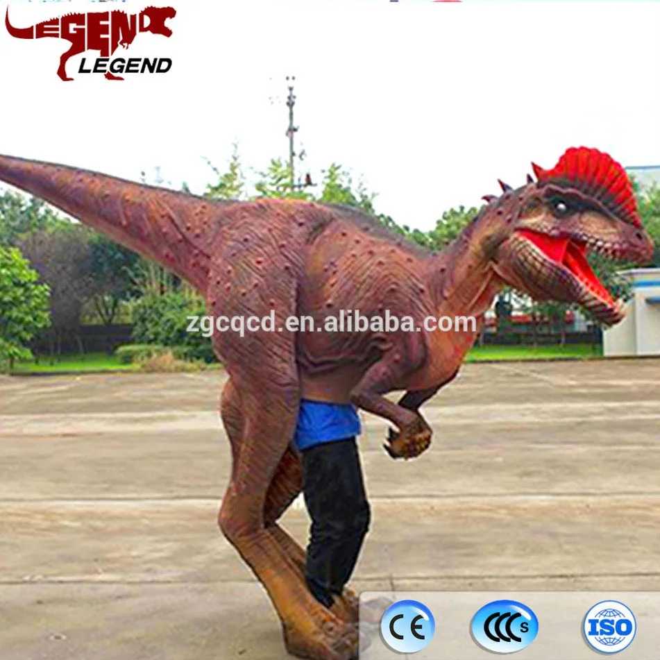 
Professional Rubber Life Size Dinosaur Costume From Zigong 