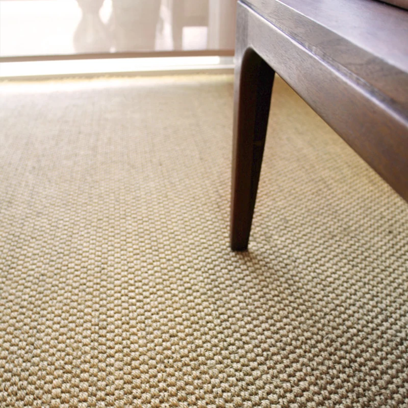 Indoor Hallway Entryway Livingroom Accent Sisal Carpet