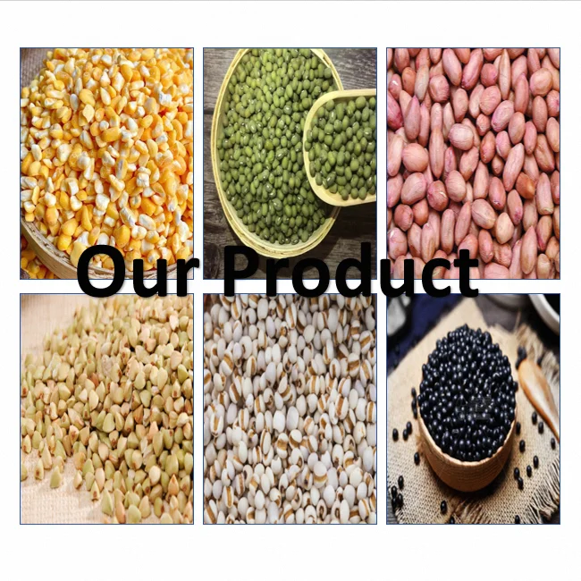 Wholesale High Quality Green  vigna green beans Mung Beans green moon skinless split green mung bean