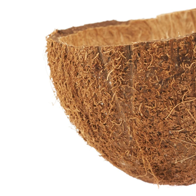
Indonesia Raw Coconut Shell for Charcoal Material 