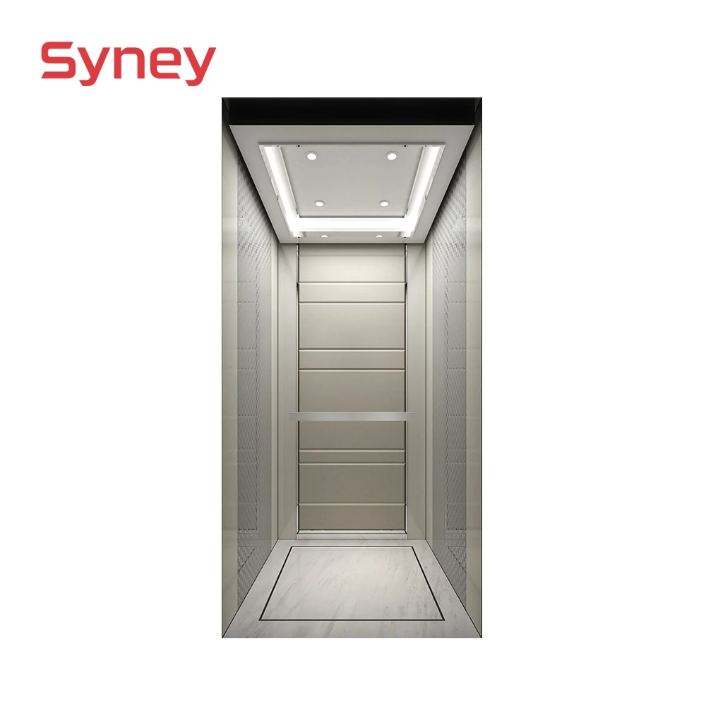 Syney Superior Quality Stable Performance 4~5 Persons Home Villa Elevator