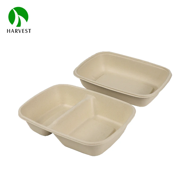 2 compartments food packaging sugarcane bagasse pulp box