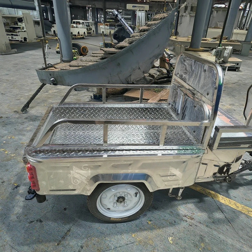 Quality 800W/1000W Strong Power Electric Tricycle with Open Body 60V 3-Wheel Rickshaw for Passenger and Cargo Carry