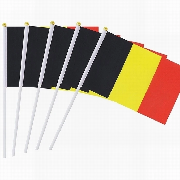 OEM high quality 100% polyester flags all countries hand flag custom size
