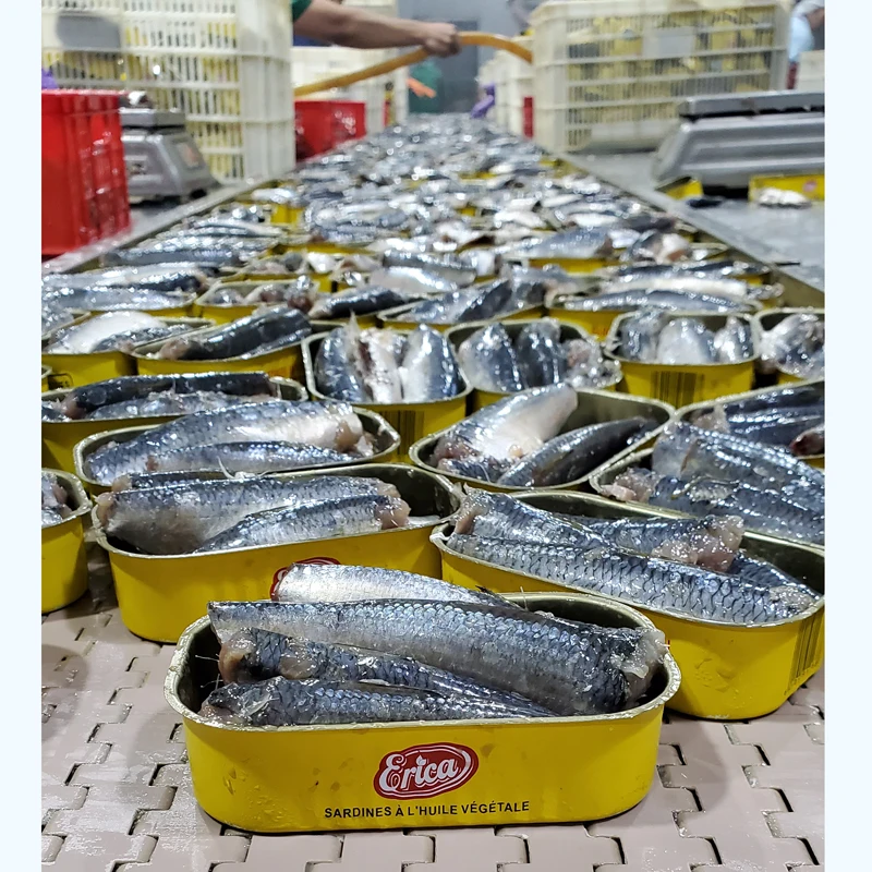 OEM Canned Sardines In Vegetable Oil wholesale Supplier From Morocco in tomato sauce sardines