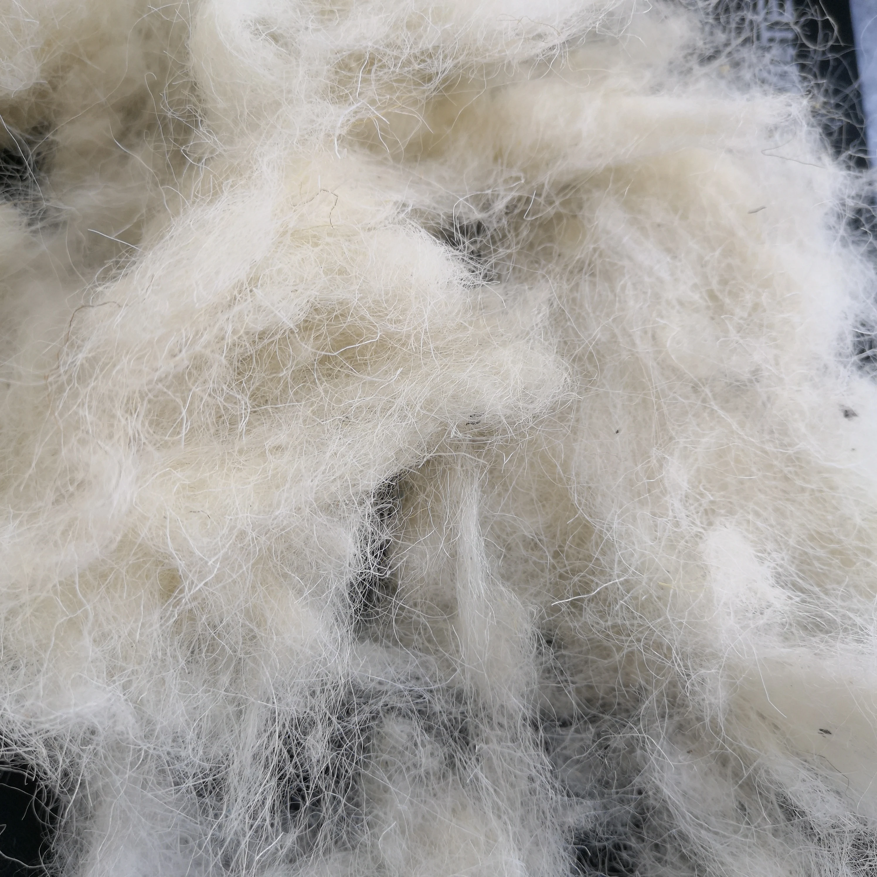 Кардовая шерсть валяние 25mic Шерстяное волокно белого цвета