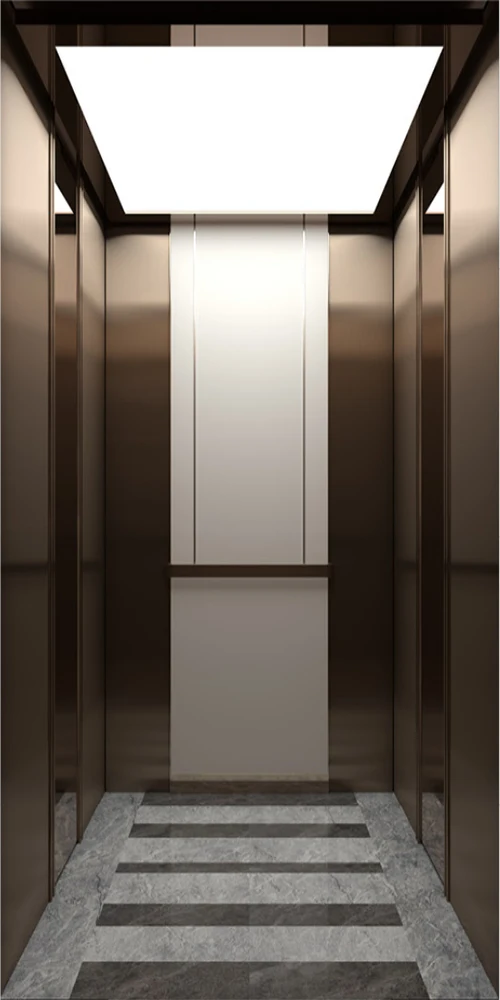 Customized 630KG 800kg 1000kg Passenger Elevator Residential Lift Commercial Building Elevator Ascenseur Pour Personnes