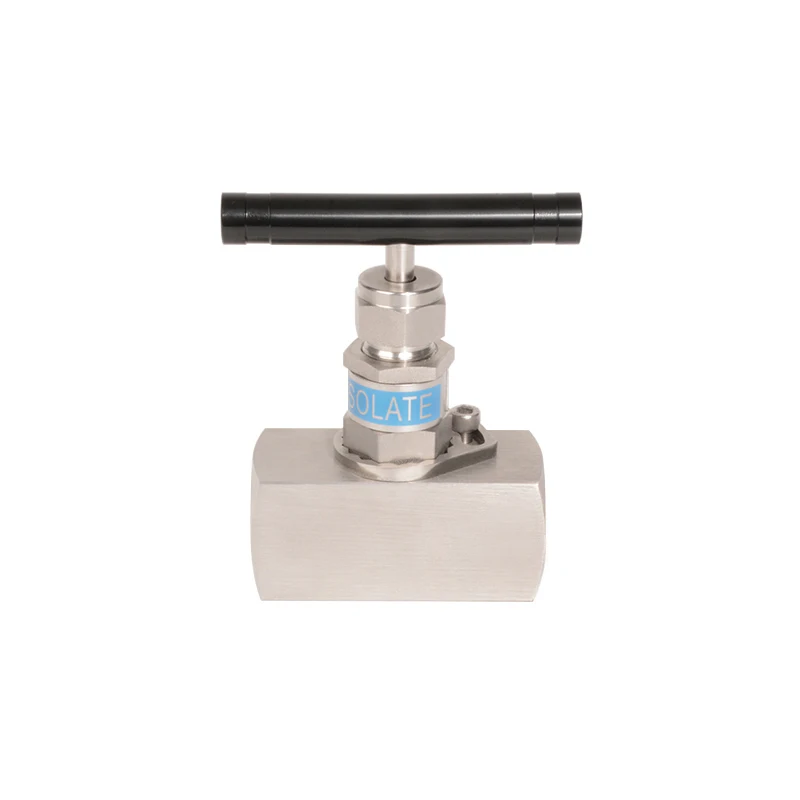 Stainless Steel Forged Female Thread Instrument Needle Valve