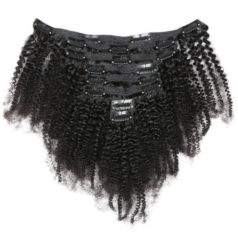 4A Afro Kinky Curly Clip In Hair Extensions for Black Women Cuticle Aligned Raw Virgin Brazilian Remy