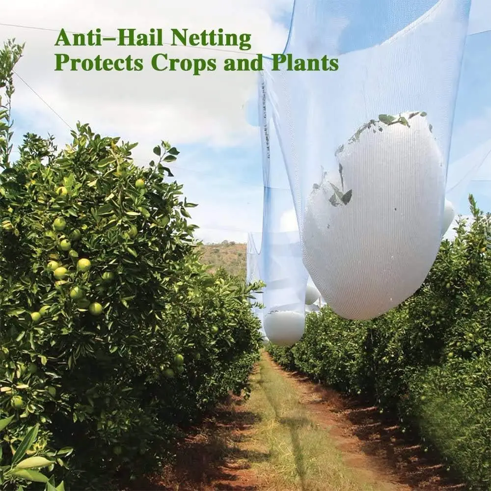 HDPE and UV White Garden Hail Netting Strong Mesh Hail Netting Protection Net for Fruits and Plants