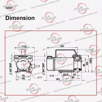 Portable 12V Diesel Dispenser Pump Kit Stainless Wall Mount Fuel Pump with CE Certification Electric OEM Customizable