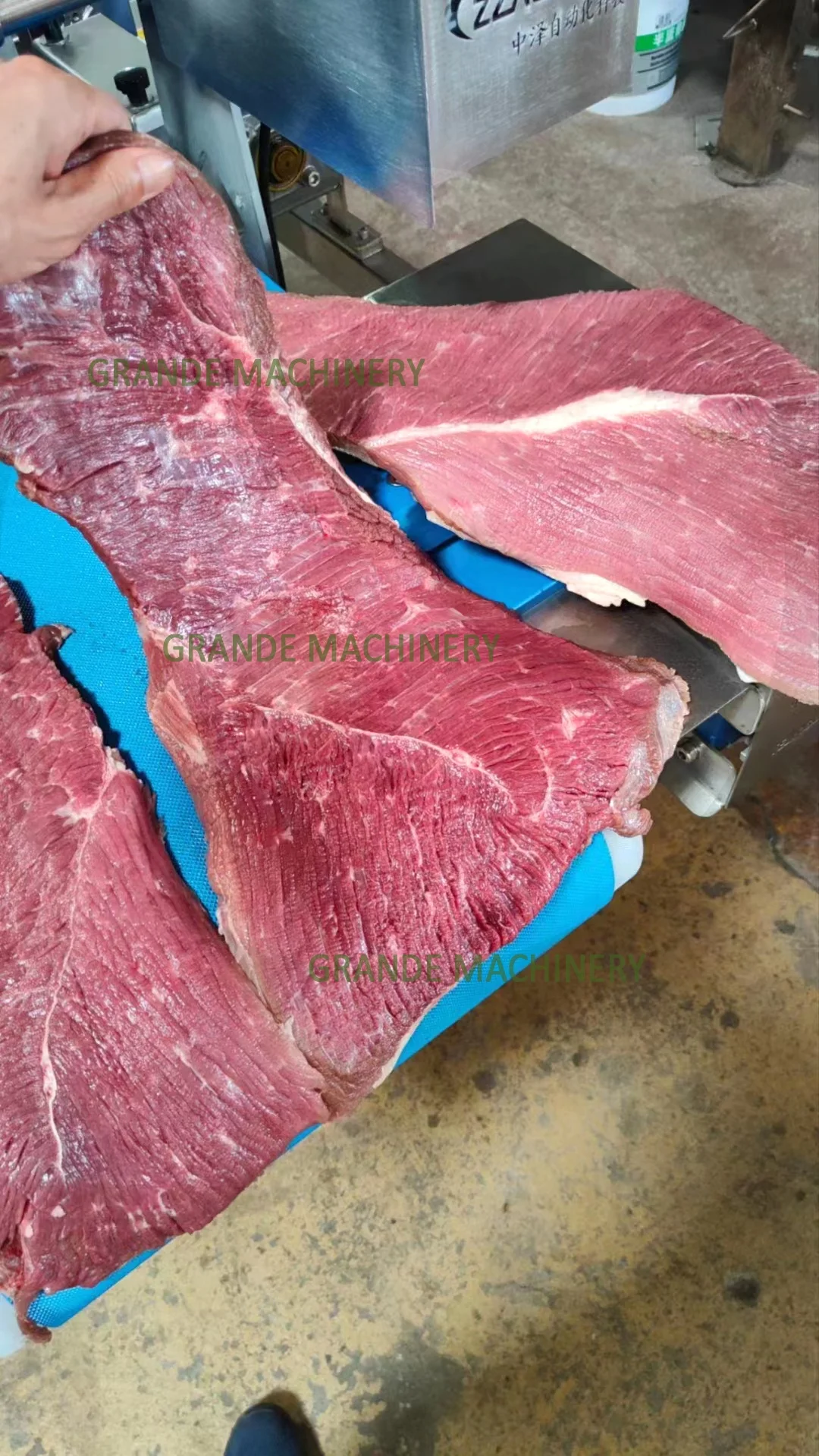 2023 Automatic Horizontal Beef Chicken Breast Fish Squid Fronds Salmon Octopus Pork Liver Cods Slicing Slicer Cutting Machine