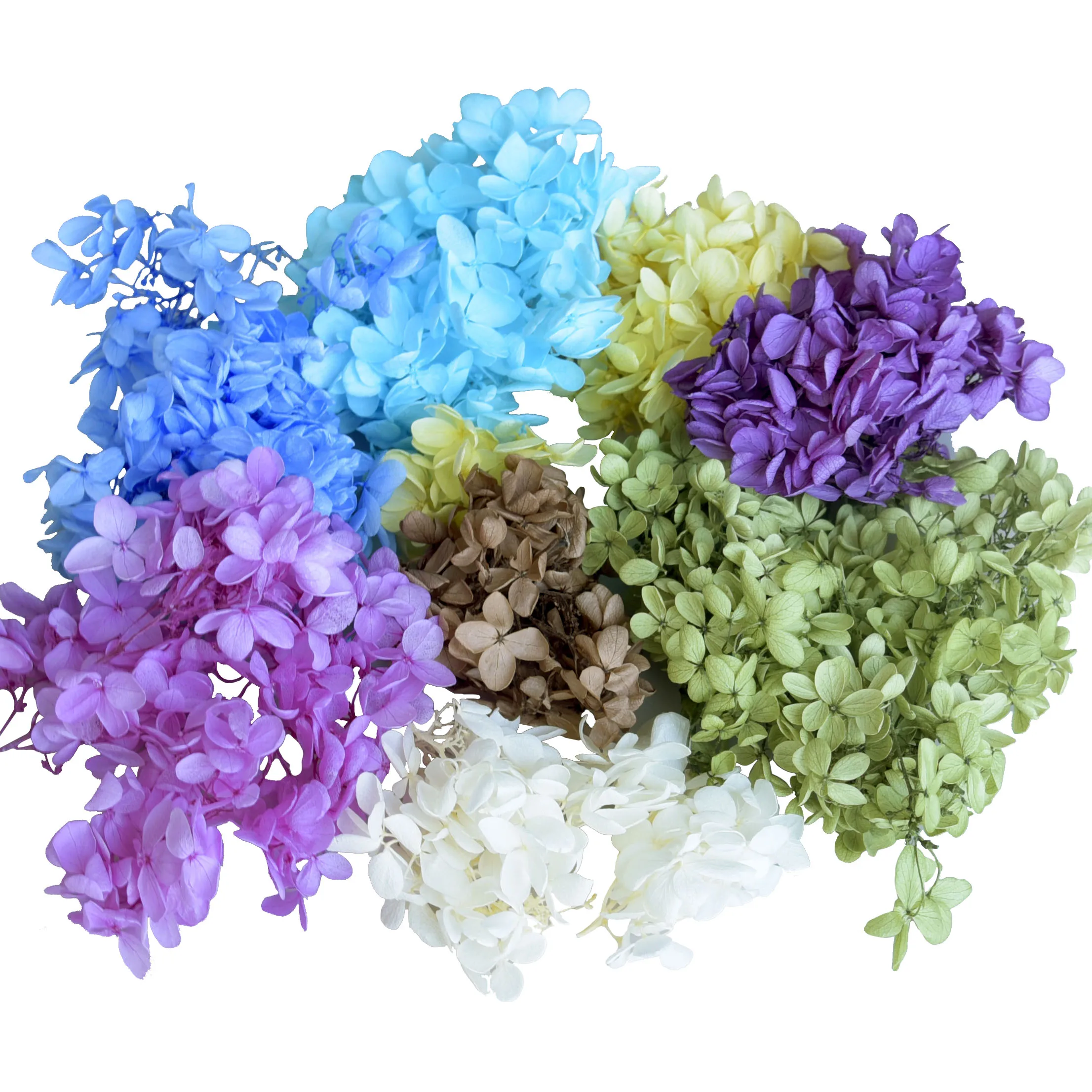 Home Wedding Decoration Flower Decor Wholesale Preserved Dried Hydrangea Natural Everlasting Flower Anna