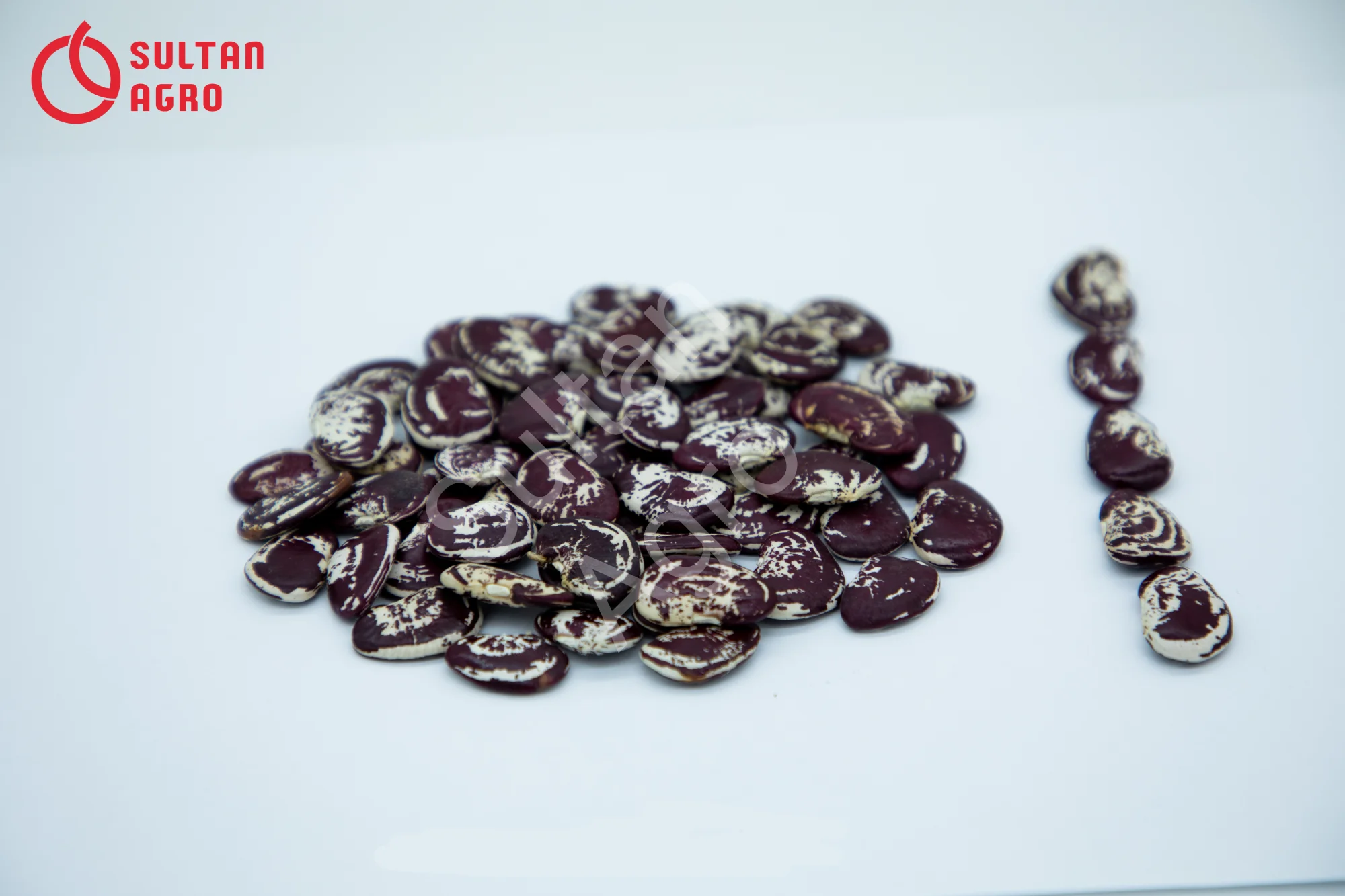 Натуральная красная зернистая фасоль, Высококачественная Органическая фасоль оптом от производителя Узбекистана