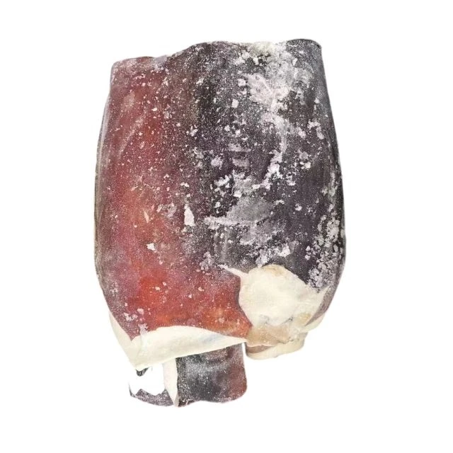 Giant squid tube raw material 20kg per bag  good quality Seafood Giant squid tube for Vietnam