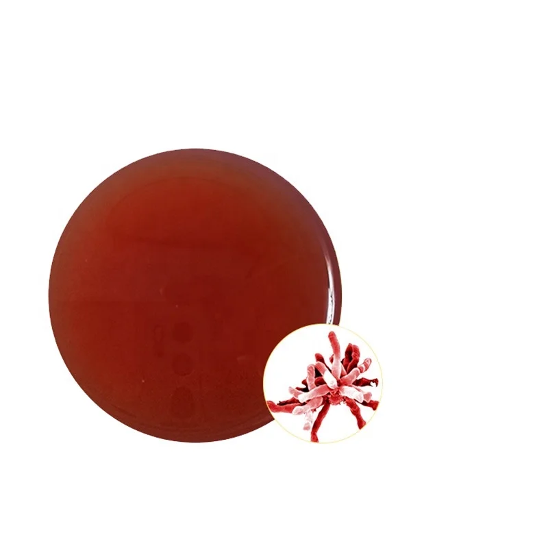 Photosynthetic Bacteria Rhodopseudomonas palustris for feed additive