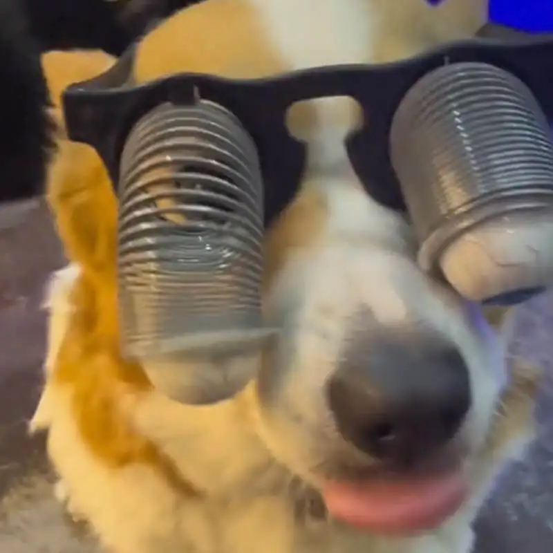 Funny pet dog accessories Funny bouncing glasses Spoof toy Holiday dress Halloween dog Headwear