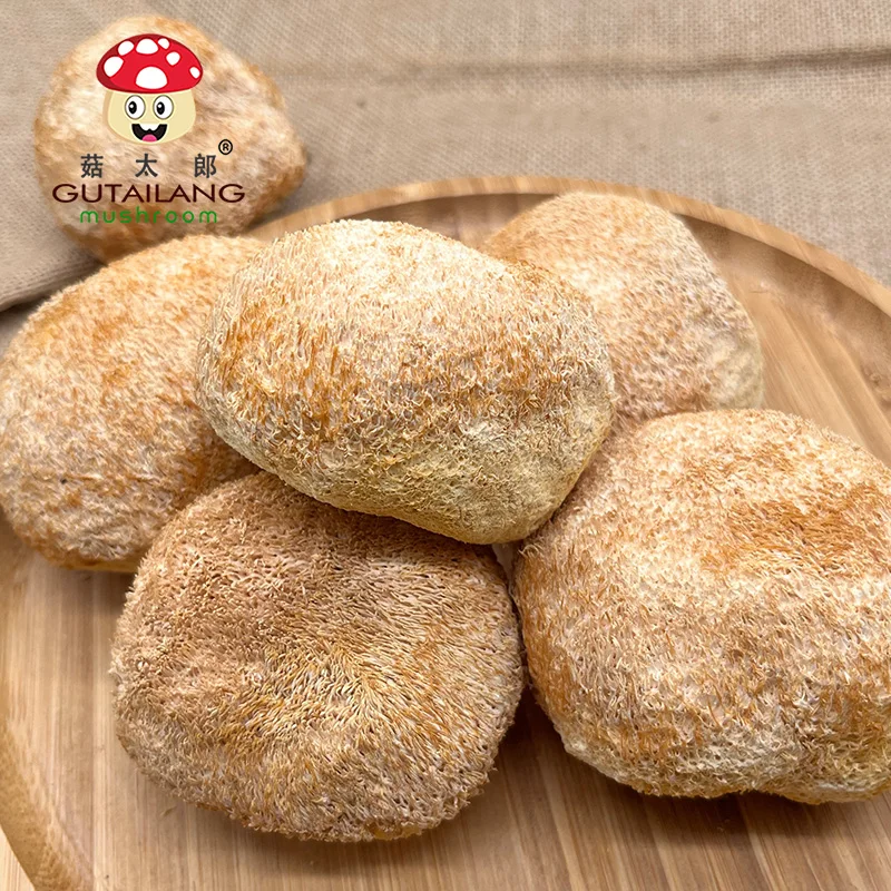 Factory Wholesale Pure Natural Dried Lion Mane Mushroom Dried Hericium Erinaceus Mushroom Dried Hericium Fungus