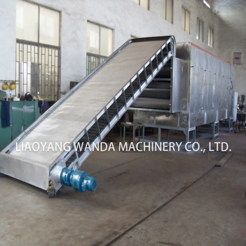 Hot sale vegetable and fruits drier DW Series Ginger Multi-Layer Mesh Belt Drying Machine