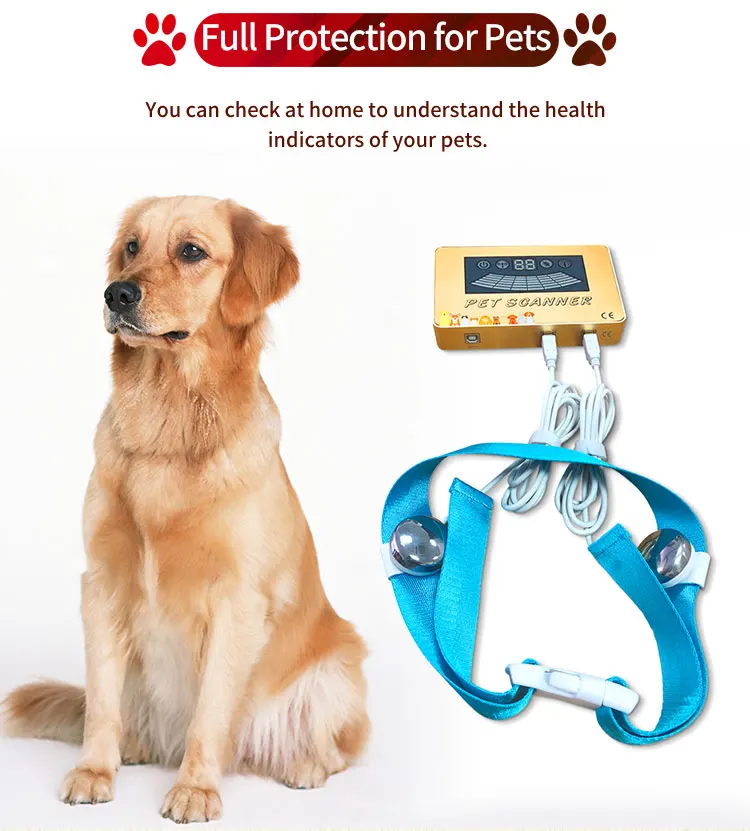 Animal quantum with multi-language version quantum magnetic body health analyzer for dogs