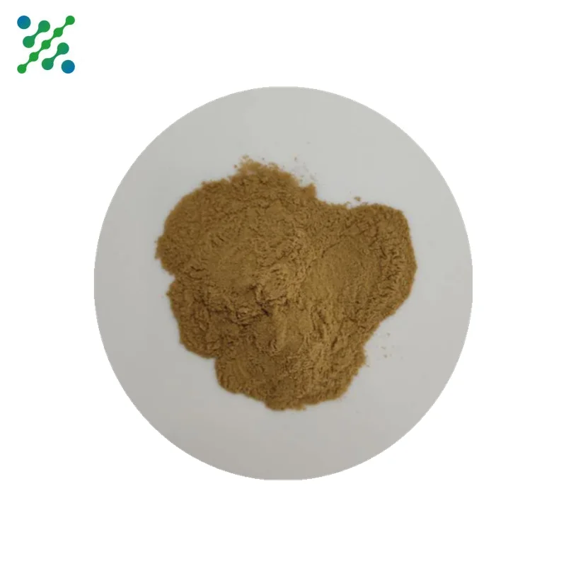 Herb Extract Improve Immunity Factory Supply Cordyceps Sinensis Extract Cordycepin Powder
