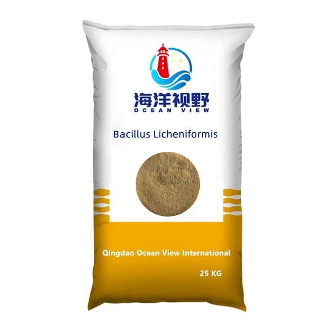 Bacillus licheniformis powder for plant growth