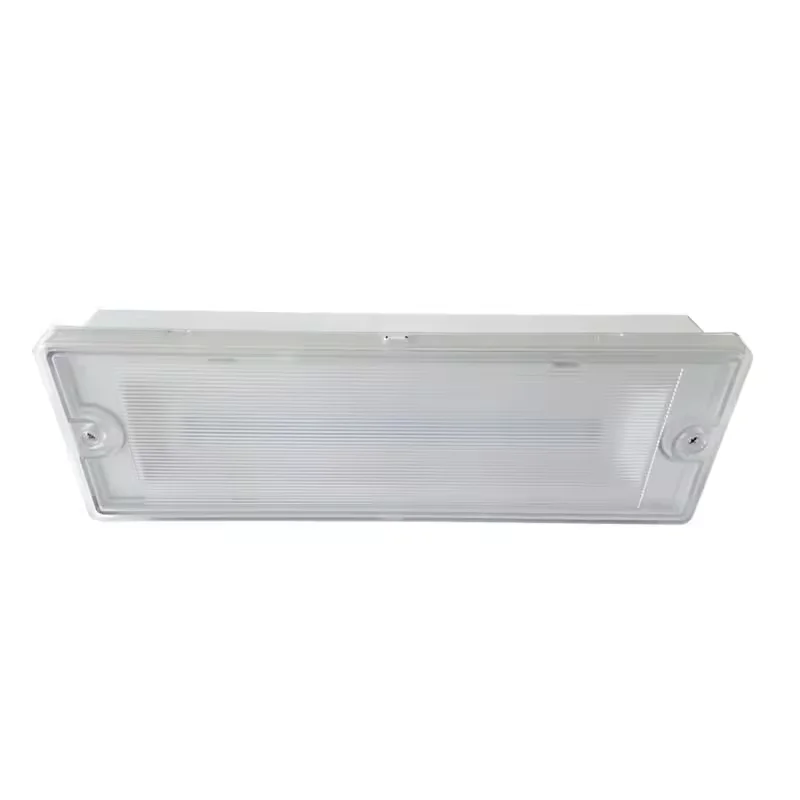 Fire-retardant Wholesale Private Label IP65 Waterproof lithium battery led emergency light with factory price