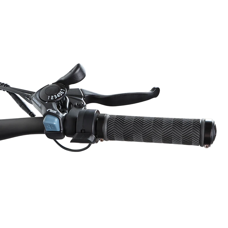 26*4,0 750W 1000W high power Fat Tire electric mountain E bike/