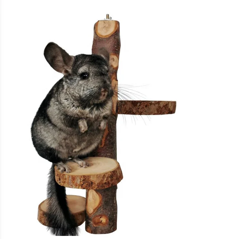 Wholesale factory price Hamster Toy Natural Wood Stand Platform hamster