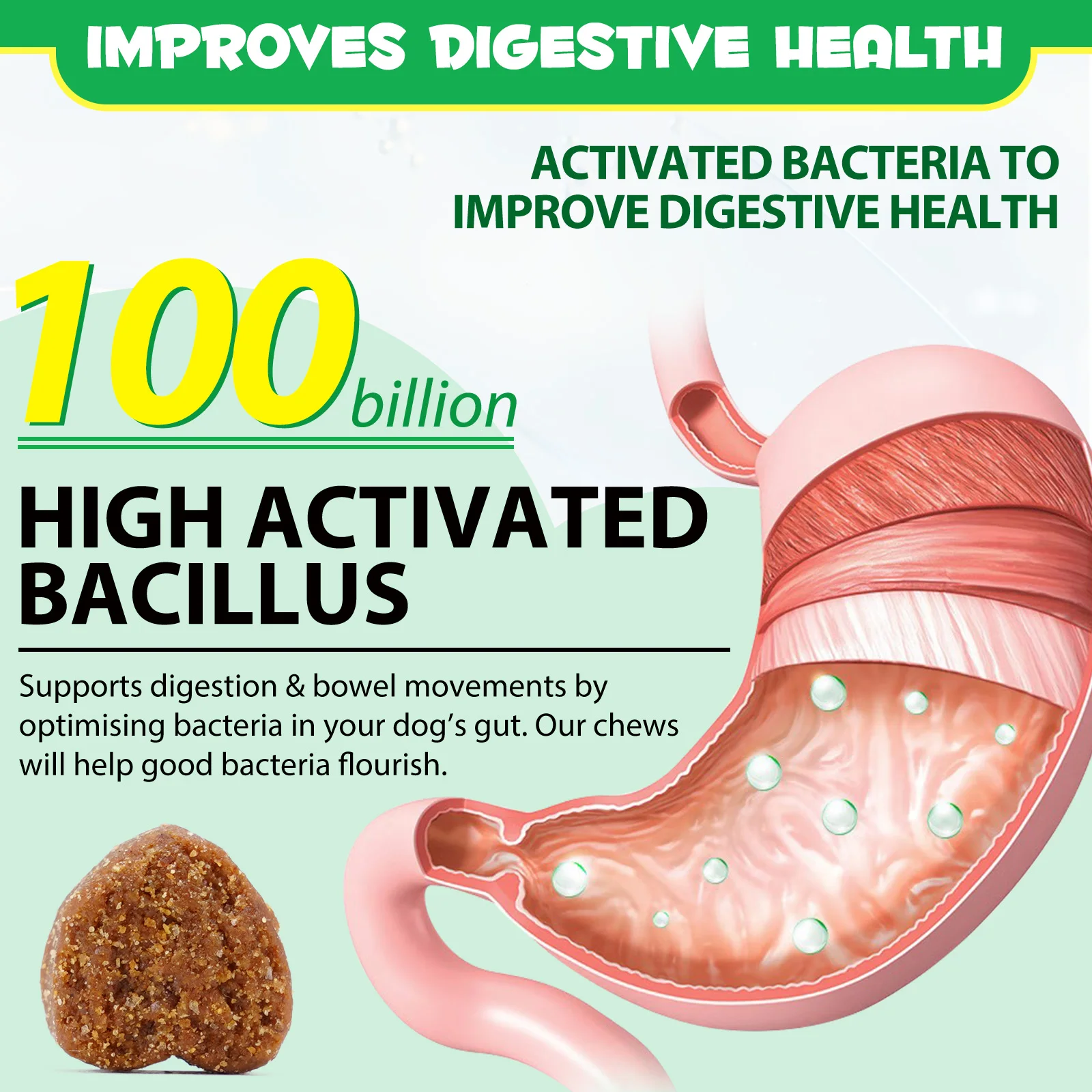 OEM Private Label Pet Nutritional Pre and Probiotics Chews Gut Health Supplement for Dogs Skin and Coat Allergy Immune