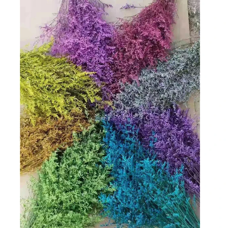 Factory supply preserved flower Preserved Sea Lavender flower Limonium dry crystal grass from Kunming Rainbow