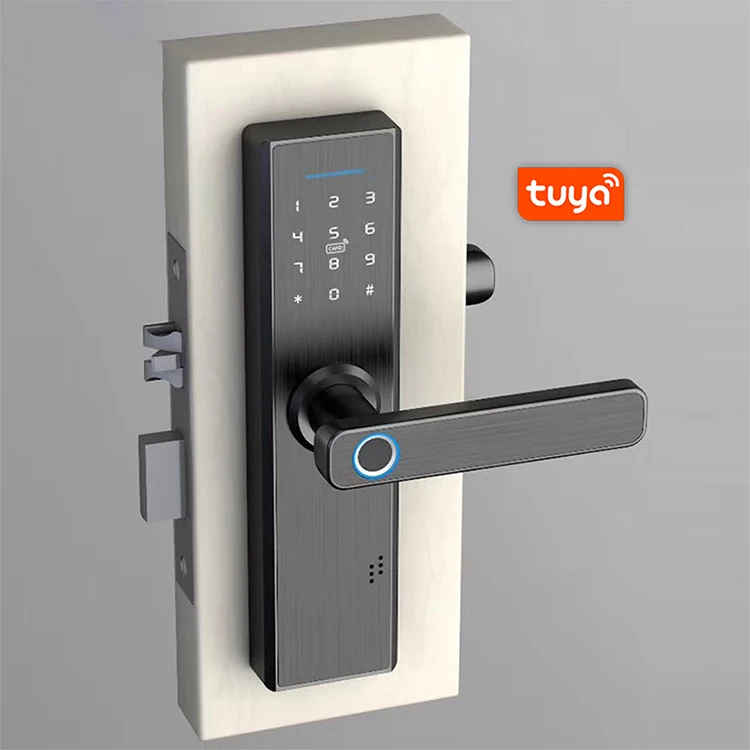 GOKING Factory Wholesale Tuya WiFi Biometric Fingerprint Smart Digital Keyless Safe Electronic Door Lock cerradura inteligente
