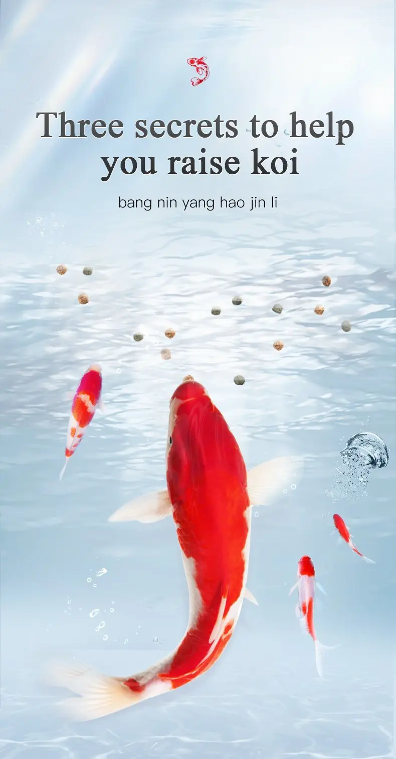 Multifunctional Fish Food Yee Factory Price Aquarium Fish Food High Protein Goldfish Koi Tropical Fish Food Not muddy water