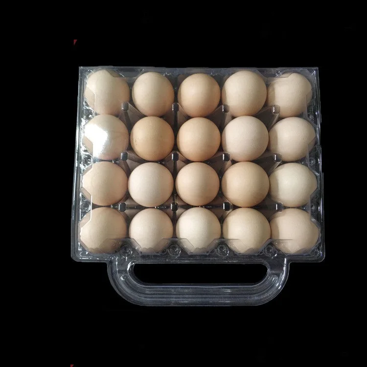 20 cells plastic eggs trays with