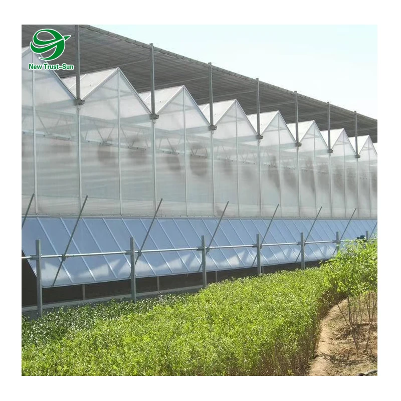 
Low Cost Nutrient Film Teechnique(NFT) Hydroponics for PC Polycarbonate Greenhouse 