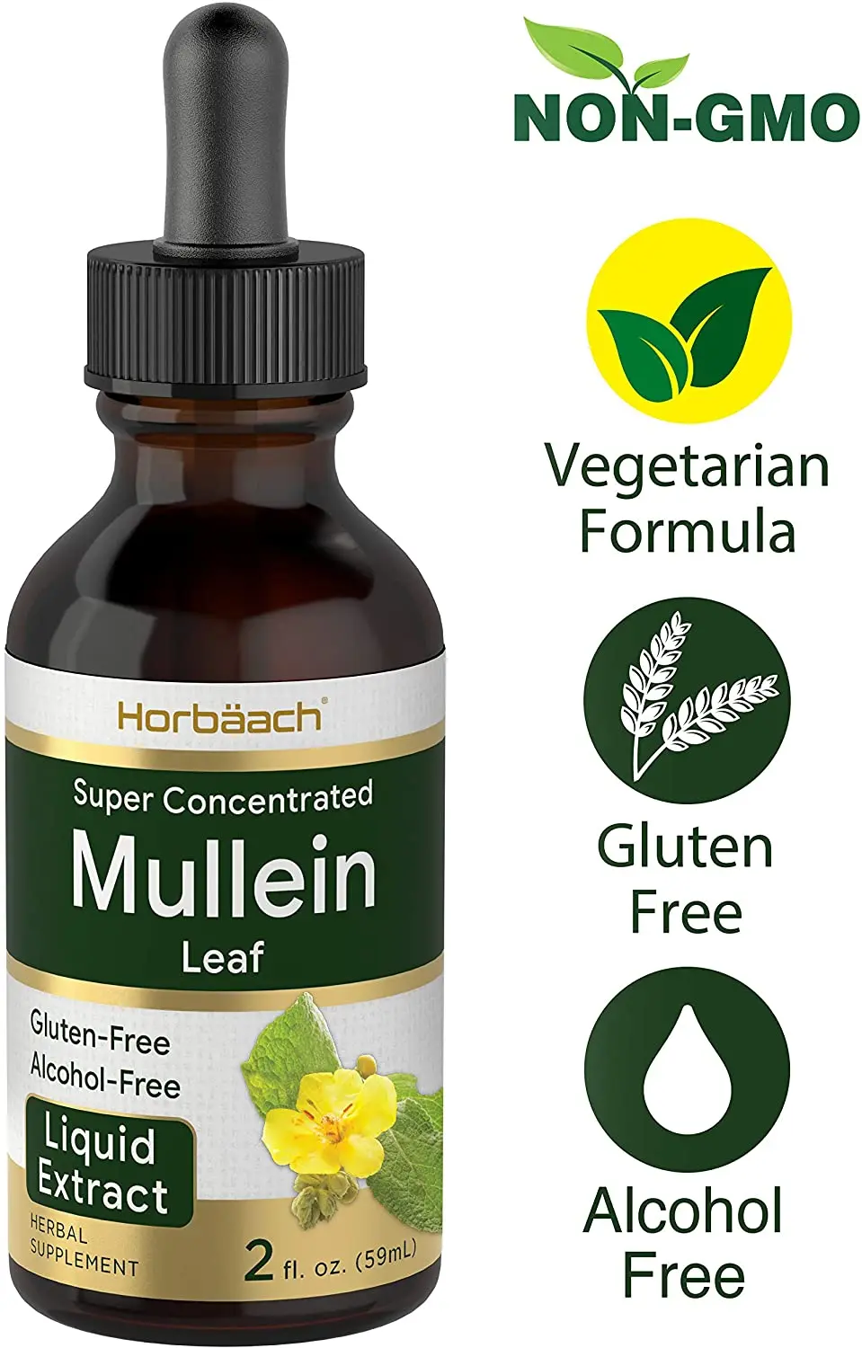 wholesale OEM/ODM Private label Mullein Leaf Liquid Extract 2 fl oz Alcohol Free Vegetarian Non-GMO & Gluten Free Supplement