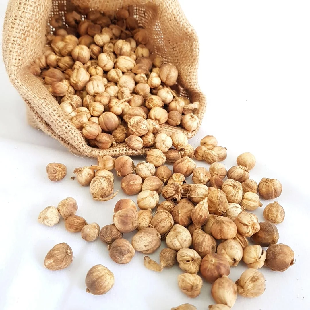
High Quality White Brown Cardamom Indonesia Origin 