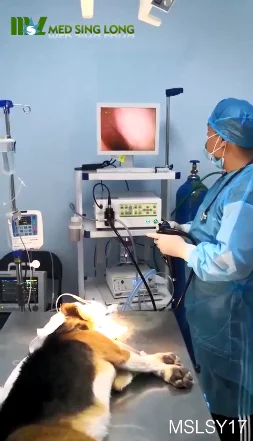 Complete Set Veterinary Endoscopy System
