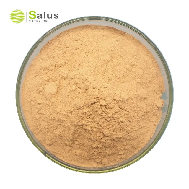 Factory Wholesale Additives Probiotics Powder Bacillus Coagulans