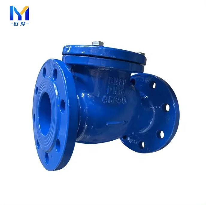 China Valve Supplier Din3352-f6 Dn100 Ductile Iron Cast Iron Flanged Swing Check Valve