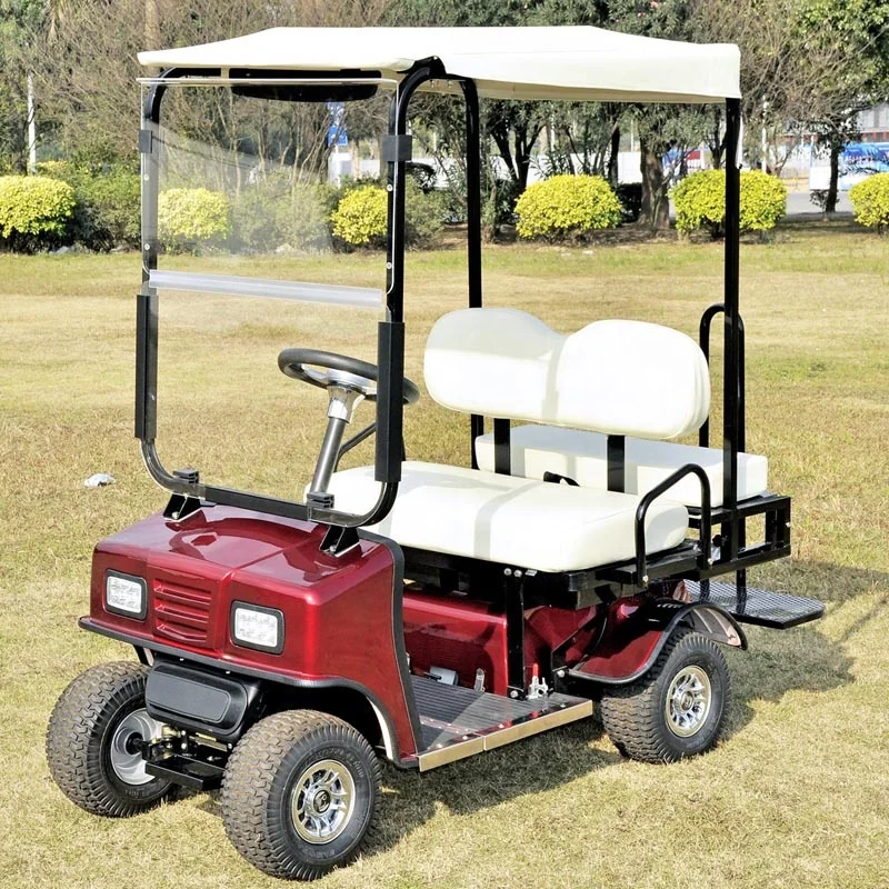 Curtis controller cheap kids racing golf cart for sale