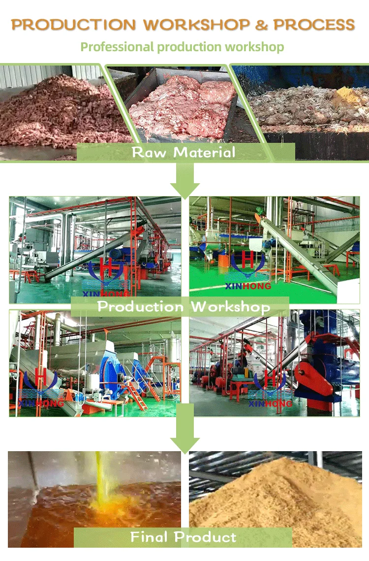 Xinhong Automatic Fishmeal Machine Top-Seller Double Screw Press 50T Per Day Pressing Fish Machine