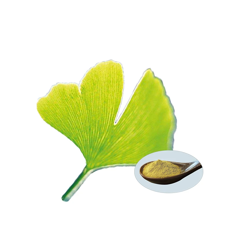 100% Natural Ginkgo Biloba Extract and Ginkgo Biloba Seeds