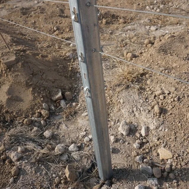 Heavy Duty Vineyard Trellising Vineyard Poles Metal Grape Vine Post