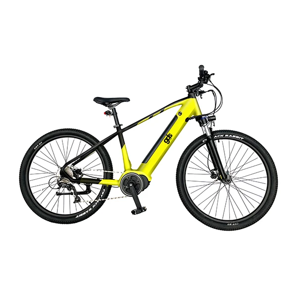 27.5 inch 9 speed Annada mid drive downhill dual suspension 250W 36V e bike electric mountain bike