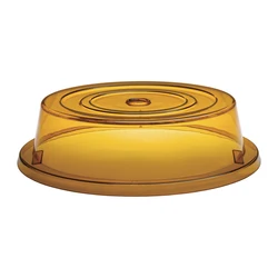 Clear 10.5 inch plastic round flat food cover