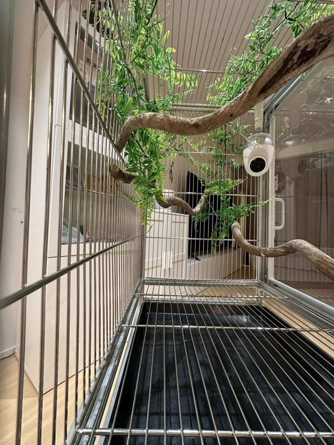 Factory Direct Wholesale Bird Cage Parrot Cage Home Use Cage Large Bird Villa Home Use
