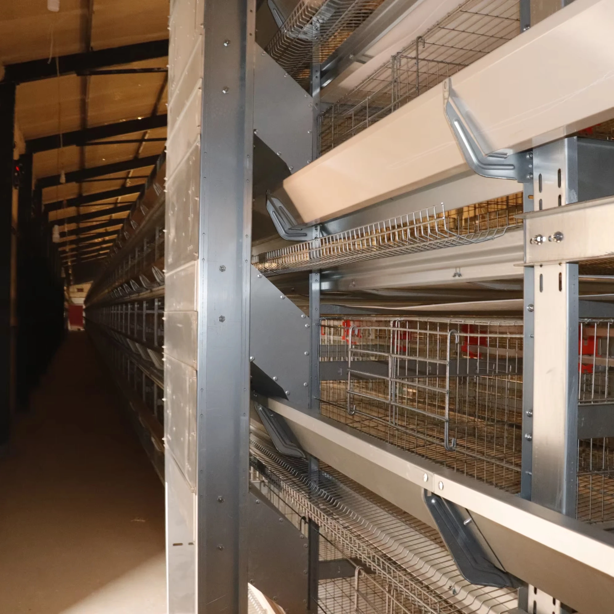 hen farm breeding automatic laying chicken cage system