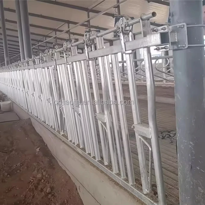 Automatic double opening headlock for cattle/cow